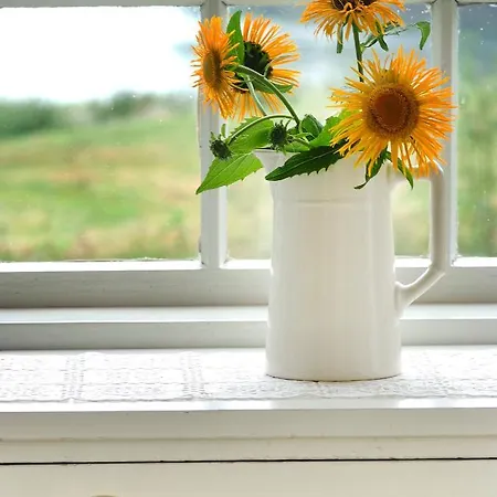 Rundhaug Gjestegard 호텔 2*